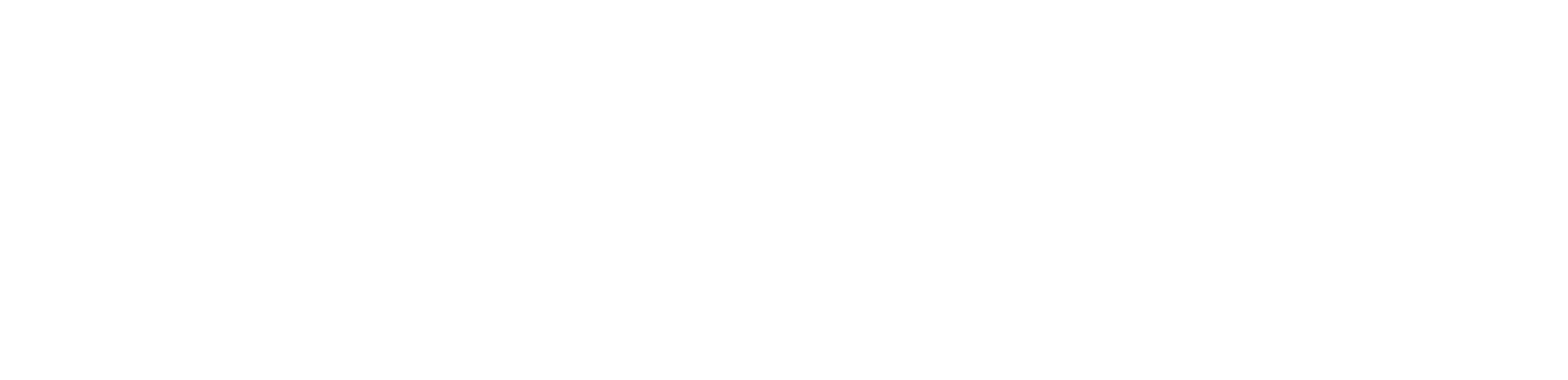 Jewellery Logo white